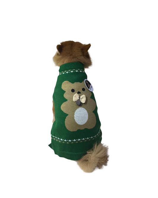 Teddy Bear Sweater