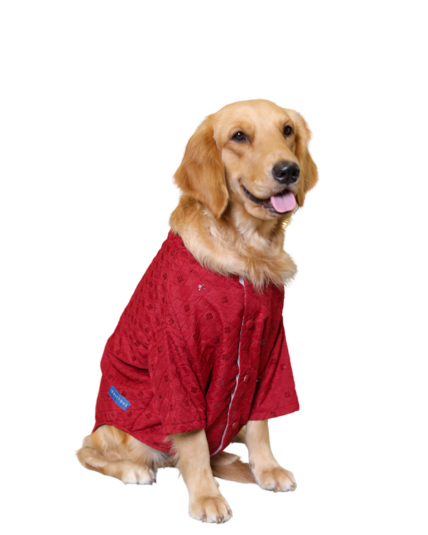 Red Dog Sherwani