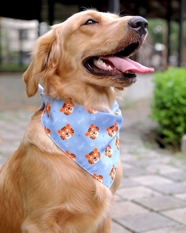 Tiger Pet Bandana