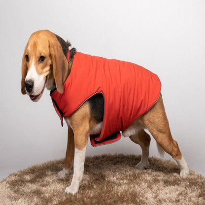 Petsnugs Rust Jacket