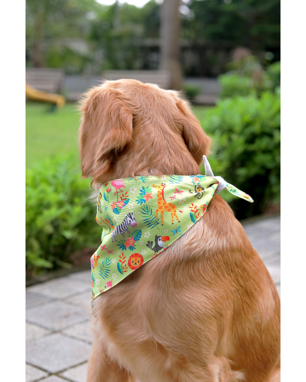 Madagascar Pet Bandana