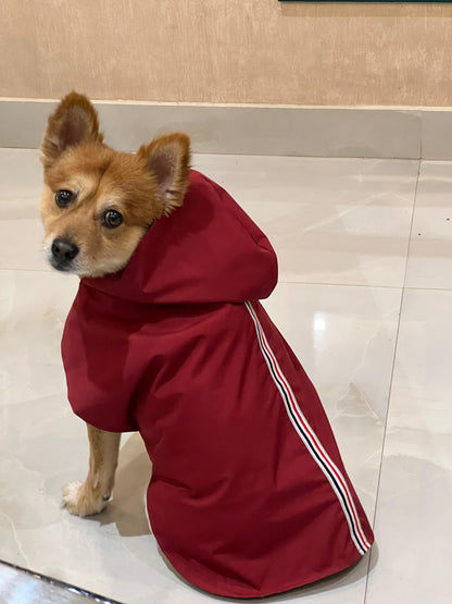 Raincoat 100% Waterproof, Maroon Colour