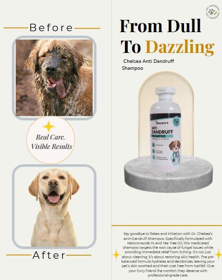Dr. Chelsea’s Anti Dandruff Dog Shampoo | Tea Tree Oil | Anti-Fungal & Anti-Itching | pH Balanced | 250 ml