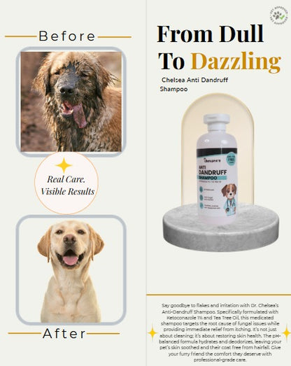 Dr. Chelsea’s Anti Dandruff Dog Shampoo | Tea Tree Oil | Anti-Fungal & Anti-Itching | pH Balanced | 250 ml