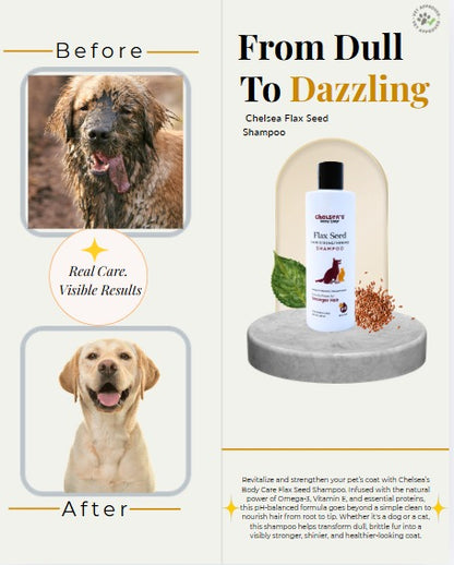 ChelSea’s Flax Seed Dog Shampoo 250ml | Hair Strengthening & Anti Hair Fall Pet Shampoo | Herbal Formula with Amla, Shikakai & Bhringraj | For Dogs & Cats | Soft & Shiny Coat
