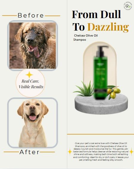 Chelsea’s Body Care Olive Oil Shampoo + Conditioner for Dogs