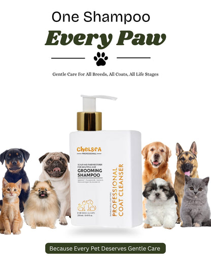 Chelsea Professional Grooming Shampoo - 250 mL