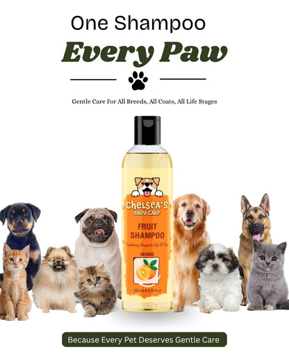 Dog Orange Shampoo - 200 ml