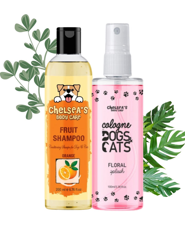 Orange Fruit Shampoo & Cologne Dog Perfume Spray Combo (200ml + 100 ml )