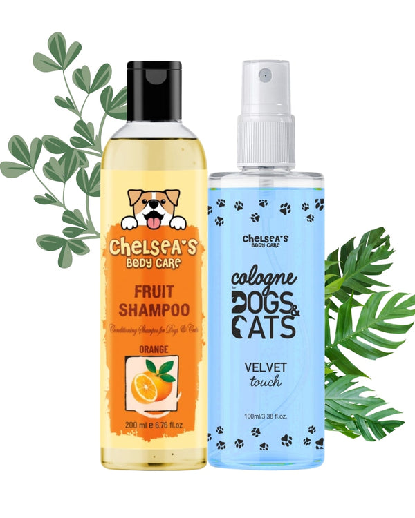 Orange Fruit Shampoo & Cologne Dog Perfume Spray Combo  (200ml + 100 ml )