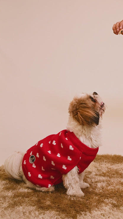 Petsnugs Red Heart Sweater
