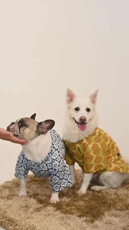 Traditional Green Printed Kurta for Dogs