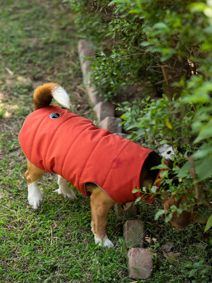 Petsnugs Rust Jacket